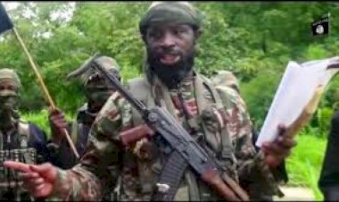 Shekau ‘Kills’ Four Boko Haram Commanders