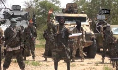 Boko Haram Lures Geidam Residents With N20,000 Each