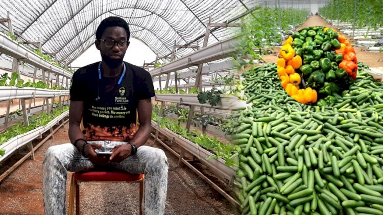 Meet young Nigerian farmer who grows crops in the air using Aeroponic techniques
