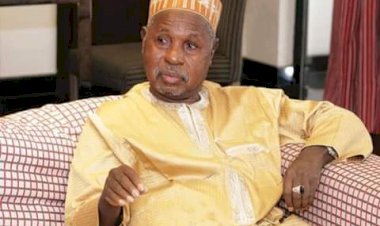 Masari: The North is Not Afraid of Restructuring