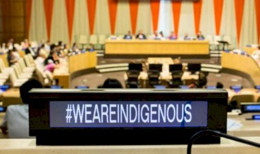 KILLINGS AND ABUSES OF NIGERIAN FULBE PASTORALISTS REPORTED TO THE UNITED NATIONS FOR THE FIRST TIME BY FUDECO