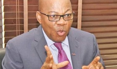 Devolution Of Power Not The Answer, Let’s Address Poverty , Olisa Agbakoba Says