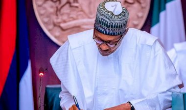 Buhari approves establishment of centre for small arms control, appoints Dikko as coordinator