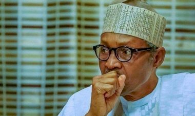Some People Are Mercilessly Against Nigeria — Buhari