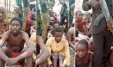 BREAKING: Kidnappers release 27 abducted forestry students in Kaduna