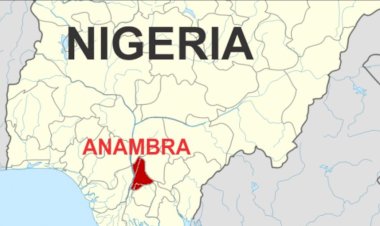 Were 19 Herders Killed In Anambra?