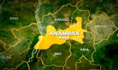 Police arrest driver as truck loaded with ammunition falls in Anambra