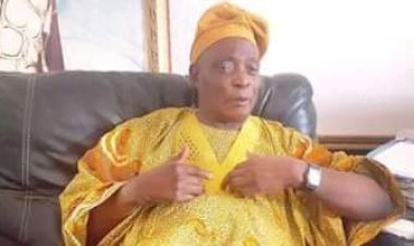 Southerners talk Too Much, North Already Planning To Leave Nigeria – Ex-Oyo gov, Ladoja