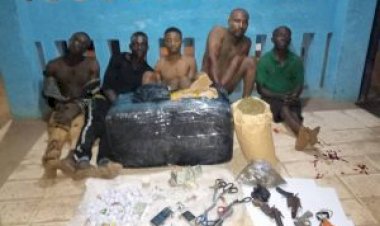 Police arrest 5 IPOB terrorists militants over killing of policeman  police-arrest-ipob-militants