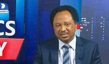 Osogbo Rally : Shehu Sani Knocks Yoruba Nation Agitators, Says Rainfall Is Divine Message