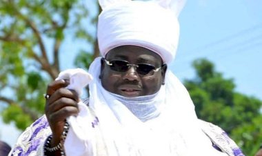 Emir of Bauchi suspends Wakilin Birni for disrespect, “outshining emir” at durbar