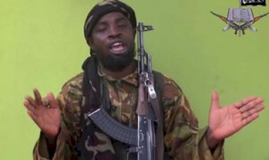 JUST IN: We’re Yet To Get Information On Shekau’s Death – Military