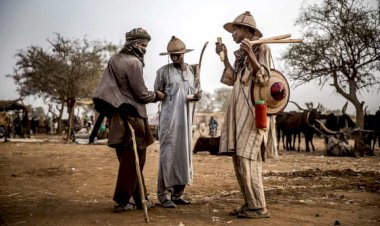 THE PLIGHT OF FULANIS IN THE SOUTH WEST AND HOW IT ALL STARTED