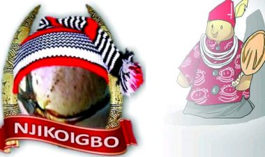 Open Grazing Ban: Southern Govs Should Factor Good Herders In Their Policy — Igbo Youths