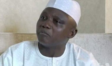 Open Grazing Ban : Rehabilitation Of Grazing Reserves Begins June – Presidency