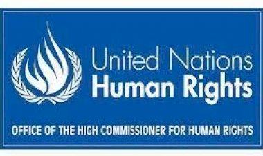 Fudeco receives written acknowledgement of our complaint to the United nations organisation 