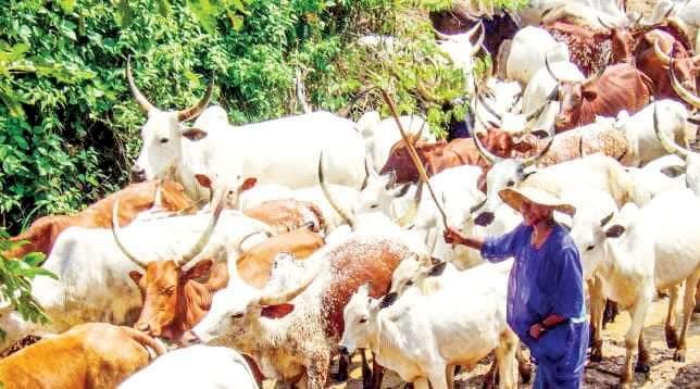 Fulani Group In Plateau Denies Link To Boko Haram