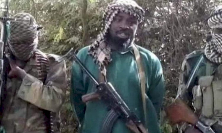 REVEALED: How Shekau, ISWAP Commanders Were ‘Killed After Botched Power Deal’