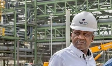 Dangote fertiliser plant ready, products to hit Nigerian market Monday – Official