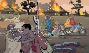 15 Killed At Igangan, Four Months After Sack Of Fulani Settlement