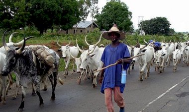 Buhari Asks AGF To Recover Lands Used For Open Grazing Routes In 1960s