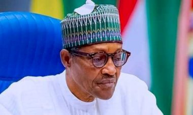 No Going Back On Grazing Routes Recovery – FG