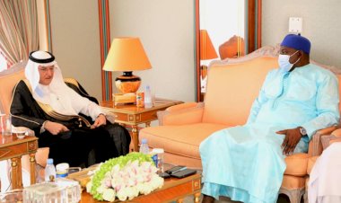 President Barrow tells OIC chief Gambia is on track to hosting OIC summit next year