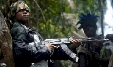 BREAKING: Gunmen kill 7 herders in Plateau
