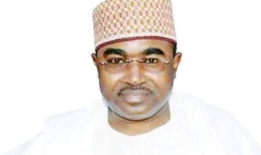 NDLEA arrests 258 suspects, seizes 415kgs of illicit drugs in Katsina