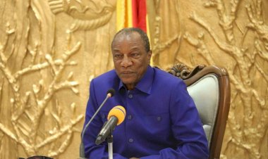 Closure of borders with Guinea-Bissau, Senegal and Sierra-Leone - Alpha Condé and his economic war against the Fulani.