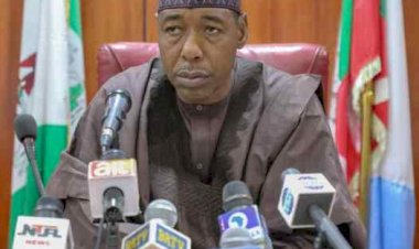 Zulum Visits Agriculture Minister, Allocates Land For Ruga Project In Borno