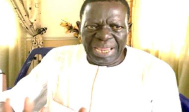 Yoruba, Igbo Betrayed S/South —Senator Owie