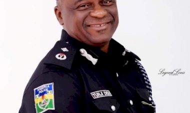 BREAKING: IGP Replaces Abba Kyari With Tunji Disu