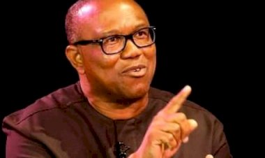 2023: South-East Needs To Convince Nigeria Why It Should Produce Next President – Peter Obi