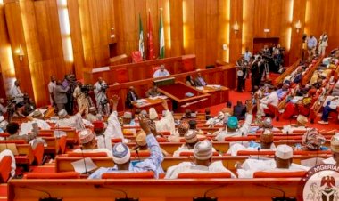 Full List : Senate Gives Condition For Creation Of 20 New States