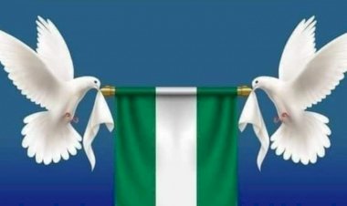 GOVERNOR YAHAYA INUWA OF GOMBE ON ANTI-GRAZING LAW 