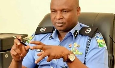 NPF SPECIAL INVESTIGATION PANEL ON DCP ABBA KYARI YET TO SUBMIT REPORT