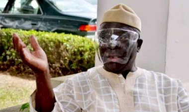 Afenifere Asks South-west Governors To ‘Forge Ahead ’ With Anti-open Grazing Law