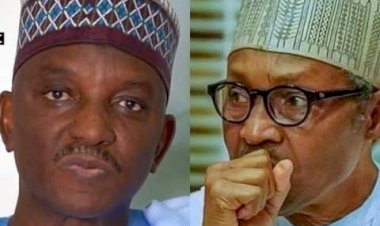 Buhari appointed me minister 2 hours after collecting my CV, says sacked Power minister
