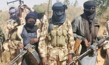 BREAKING: Bandits Demand Rice, Spaghetti As Ransom Following Closure Of Local Markets