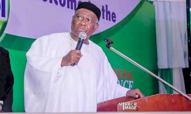 Sit-at-home Against Igbo Interest , Says Nnamani