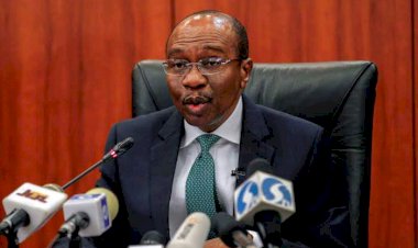 CBN Talks Tough, Says Won’t Reverse BDC Forex Ban Despite Naira Crash 