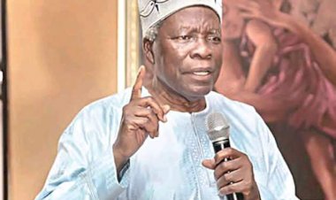 North Will Continue To Rule Nigeria Regardless Of Who’s President —Akintoye