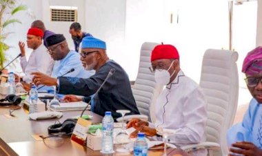 Powershift: Northern Governors Only Exercised Their Right Under Freedom Of Expression ― Southern Governors