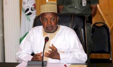 Nigeria Peaceful In Spite Of Pockets Of Insecurity — Bagudu