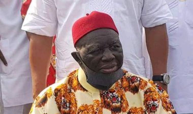 World Igbo Day: Igbo Nation Is Under Siege With Too Many Killings — Ohanaeze Ndigbo Laments