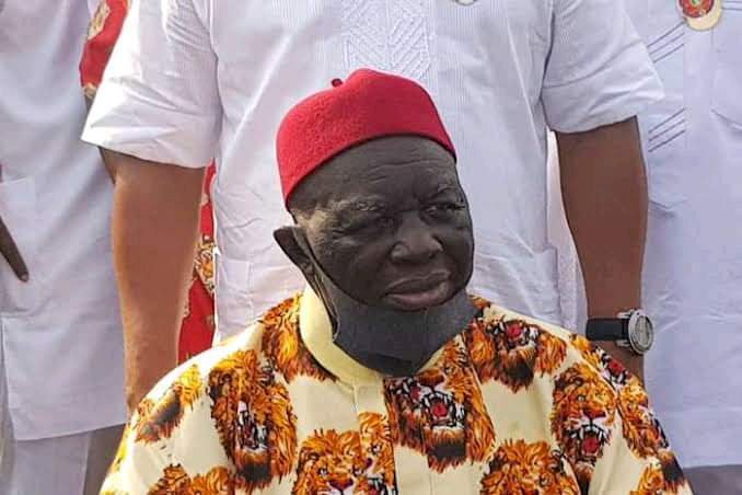 World Igbo Day: Igbo Nation Is Under Siege With Too Many Killings — Ohanaeze Ndigbo Laments 