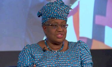 I’m Not Running For Nigerian Presidency , Says Okonjo-Iweala Amidst Rumour She Might Quit WTO