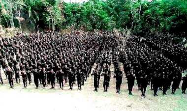 Attack in Igboland: IPOB Should Redeem Self By Disbanding ESN — Ohanaeze Youth Wing