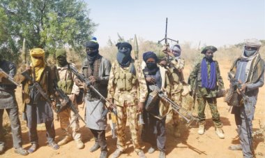 Zamfara Assembly Suspends Lawmakers ‘For Working With Bandits’